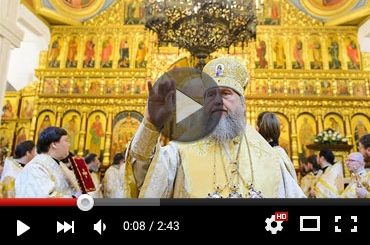 Поздравление митрополита Астанайского и Казахстанского Александра с Рождеством Христовым (ВИДЕО)